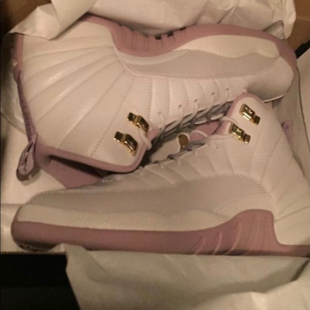 Air Jordan 12s retro